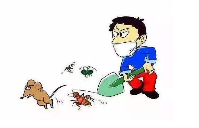 灭鼠服务